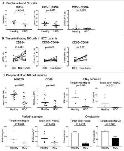 Figure 1. Reduced natural killer cell quantity and activity in patients with hepatocellular carcinoma. (A) Peripheral blood mononuclear cells (PBMCs) were isolated from healthy individuals and HCC patients and the percentages of total NK (CD56+) cells and CD56+CD16+ and CD56+CD16− subsets were quantified (n ≥ 16). (B) Tumors and paired adjacent non-tumor liver tissues of HCC patients were dissociated and the percentages of total NK (CD56+) cells, CD56+CD16+ and CD56+CD16− subsets were quantified (n = 11). (C) Surface expression of stimulatory receptors NKG2D and CD69 on peripheral blood CD56+ NK cells were measured (n ≥ 15). MFI: mean fluorescence intensity. Peripheral blood CD56+ NK cells were isolated and co-cultured with Hep3B or HepG2 HCC cells at an effector cell:target cell (E:T) ratio of 4:1 for 24 h. IFN-γ and perforin levels in the culture supernatants were examined by enzyme-linked immunosorbent assay (ELISA), and NK cytotoxicity against HCC cells was measured by flow cytometry (n ≥ 5).