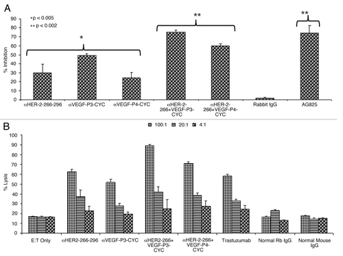 Figure 2. Effects of combination treatment on HER-2 phosphorylation and Antibody dependent cellular cytotoxicity. (A) Inhibition of HER-2 phosphorylation by single and combination treatment with anti-HER-2 and anti-VEGF peptide antibodies. BT-474 cells were incubated with 100 µg/mL of anti-HER-2 266–296 and anti-VEGF-P3 antibodies or combination of both before being exposed to heregulin (HRG, an HER-3 activating ligand) for 10 min and lysed. Phosphorylated HER-2/neu was determined by indirect ELISA and percent inhibition was calculated as in (Fig. 1) above. AG825 (Calbiochem), a potent HER-2 phosphorylation inhibitor, was used as a positive control. (B) Anti-peptide antibodies raised in rabbits are capable of mediating antibody-dependent cell-mediated cytotoxicity (ADCC). The target cell line BT474 was coated with 50 μg of purified anti-peptide antibodies from rabbits, unspecific rabbit IgG, unspecific mouse IgG or trastuzumab and then cultured in the presence of human peripheral blood mononuclear effector cells to give an effector:target ratio of 100:1, 20:1, and 4:1 in triplicates. Error bars in panels (A) and (B) represent SD of the mean. Results represent average data from three different experiments with each treatment performed in triplicate.