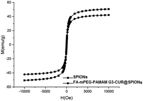 Figure 3. Magnetization curve of magnetite nanoparticles and the synthesized nanocomplex.