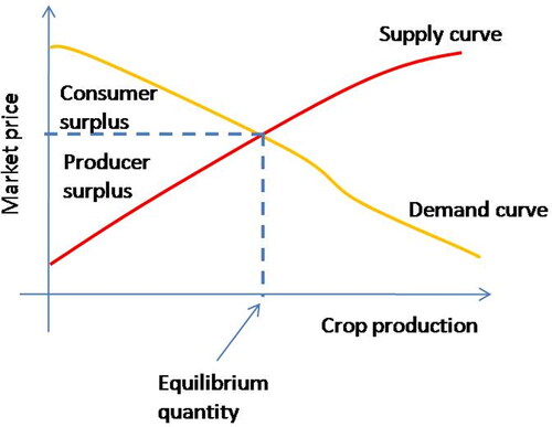 Figure 20. Consumer surplus occurs because consumers are able to purchase a product at a lower price than the highest price they are willing to pay (presented as area between the demand curve and the market price at the equilibrium quantity). If crop price rises, consumer surplus decreases. Producer surplus occurs because producers sell at a price that is higher than the lowest price they are willing to receive to sell their product (presented as the area between the supply curve and the price at the equilibrium quantity). The functional form of the supply and demand curves are only to exemplify the concept of consumer and producer surplus and need to be estimated from real data for each crop and market.