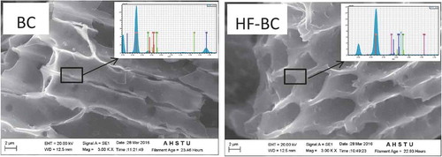 Figure 1. SEM images with EDX of BC and HF-BC.
