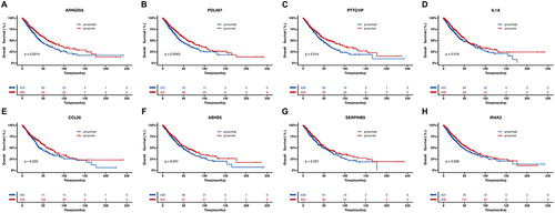 Figure 6 N3 subtype was considered as predictors for inferior OS in advanced NSCLC. High expression of eight N3-specific DEGs, (A) ARHGDIA, (B) PDLIM7, (C) PTTG1IP, (D) IL1A, (E) CCL20, (F) ABHD5, (G) SERPINB9, and (H) IRAK2, correlated with inferior OS among advanced NSCLC.