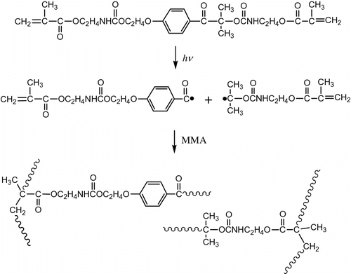 Scheme 1 Generation of network copolymer of IrDM and MMA under photo-irradiation.