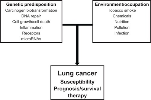 Figure 3 Overview of interaction of genes from diverse genetic pathways with environmental/occupational factors in lung cancer development. A number of genetic factors such as normal genetic variations in the genome will interact with environmental and/or occupational factors to modulate lung cancer susceptibility, survival, and therapy.