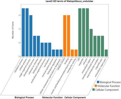 Figure 5 Gene Ontology enrichment analysis of the 7 DEPs (ASS1, CPS1, UROD, HBB, CYB5A, YBX1, and FKBP11) potentially for identifying poorly- and well-differentiated hepatocellular carcinoma.