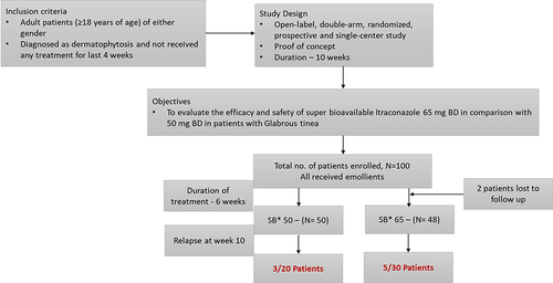 Figure 1 Study design.