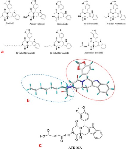 Figure 1. (a) Chemical structures of tadalafil and analogs. (b) Molecular alignment of all molecules based on their common skeleton. (c) Structure of the hapten ATD-MA.
