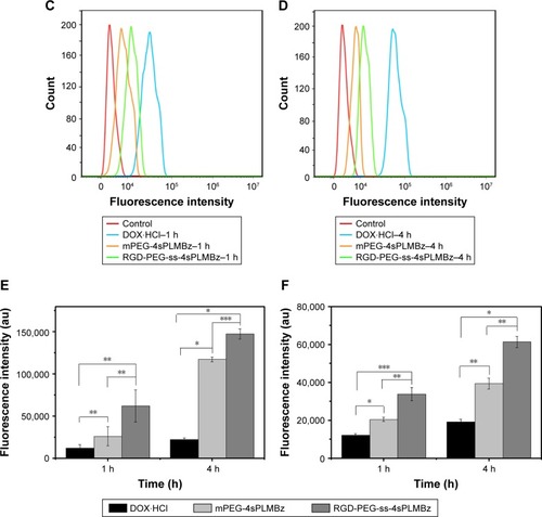 Figure 6 The confocal laser scanning microscopy images of 4T1 cells and MCF-7 cells treated with DOX⋅HCl (a1–a3), DOX/RGD-PEG-ss-4sPLMBz (b1–b3), DOX/mPEG-4sPLMBz (c1–c3) for 1 and 4 hours. The 1 and 2 represent the images of DOX fluorescence channel and and bright field and merged; the scale bar was 25 µm. The flow cytometry results of 4T1 cells (A, B, and E) and MCF-7 cells (C, D, and F) treated with DOX-loaded nanoparticles for 1 (A and C) and 4 hours (B and D). Statistical analysis of 4T1 cells (E) and MCF-7 cells (F) (mean±SD, n=3, *P<0.05, **P<0.005, ***P<0.001). The DOX concentration was 10 µg/mL.Abbreviations: DOX, doxorubicin; DOX⋅HCl, DOX hydrochloride; h, hours; mPEG, methoxy poly(ethylene glycol); PEG, poly(ethylene glycol).