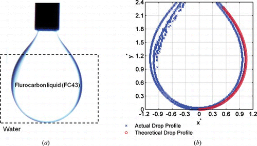 Figure 4 Left) Actual image of a pendant oil drop immersed in water (transparent); Right) By choosing an appropriate value of interfacial tension, s, the theoretical and actual drop profile overlap. The interfacial tension calculated for oil in water drops was found to be 52 dyne/cm (color figure available online).