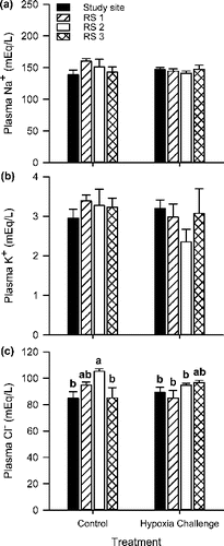 FIGURE 5. Concentrations of (a) plasma sodium (Na+), (b) plasma potassium (K+), and (c) plasma chloride (Cl−) for Largemouth Bass from the study site in the Chicago Area Waterway System (CAWS) and three reference sites (RS; North Shore Channel of the CAWS, Busse Lake, Des Plaines River) subjected to low DO challenge of 2.0 mg/L for 6 h. Control treatment fish were held for 6 h at 6.5 mg/L. Error bars show ±1 SE, and lowercase letters represent statistical differences between individual bars; bars not sharing the same letter are significantly different from others in that group (α = 0.05) and lack of letters indicates no significant differences. Sample sizes ranged from n = 7 to 11.