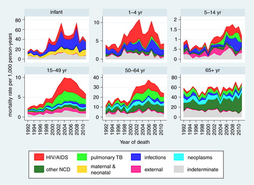 Fig. 2 Age-sex-time standardised mortality rates by broad cause categories and age group, Agincourt HDSS.