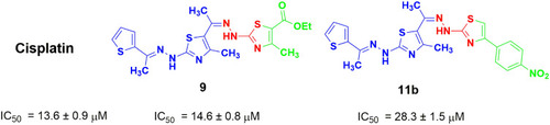 Figure 2 The most active compounds towards the MCF-7 cell line.