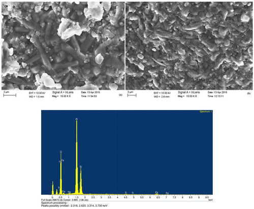 Figure 2. FESEM and EDAX analysis of LSK-1 samples heated at 1,650°C.