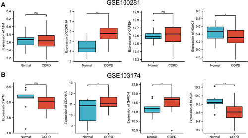 Figure 8 Validation of hub genes in another two GSE datasets. (A) Expression levels of ATM, CDKN1A, GAPDH and HDAC1 in the GSE100281 dataset. (B) Differential expression of 4 hub genes between the COPD samples and healthy control samples in the GSE103174 dataset. *p<0.050, ** p<0.01, ***p<0.001, ns: no significant difference.