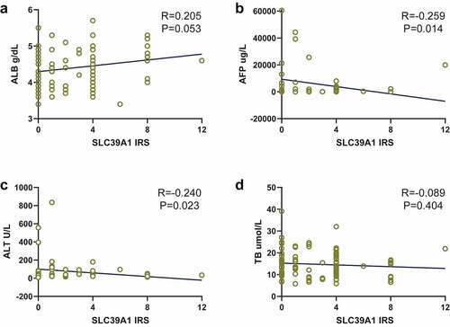 Figure 2. Correlation between SLC39A1 expression and serum biochemical indicators levels. (a) SLC39A1 expression had potential positive correlation with ALB level. (b) SLC39A1 expression had negative correlation with AFP level. (c) SLC39A1 expression had potential positive correlation with ALL level. (d) SLC39A1 expression had no obvious correlation with TB level. ALB, albumin; AFP, alpha fetoprotein; ALT, glutamic-pyruvic transaminase; TB, total bilirubin