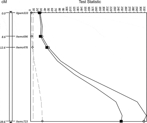 Fig. 6 The LOD for QTL for resistance to Ustilago tritici identified for Diamant/TD12A chromosome 7B with races T2 (■, solid line), T9 (○, solid line) and T27 (◊, dotted line). The MQTL Test Statistic threshold is shown in each chart as a straight dotted line for the P = 0.05 level of significance for the most conservative threshold.