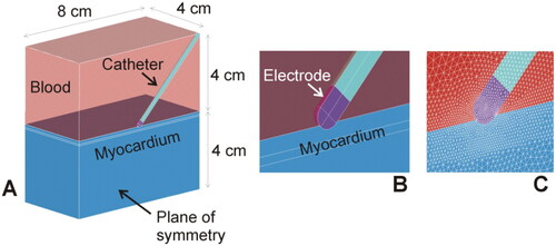 Figure 2. A: 3 D model geometry for the case of oblique catheter orientation. B: Detail of the electrode-myocardium contact. C: Detail of the meshing around the electrode.