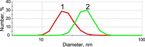 Figure 4. DLS data of the distribution of hydrodynamic diameters of GNP (1) and GNP-antibody conjugates (2).