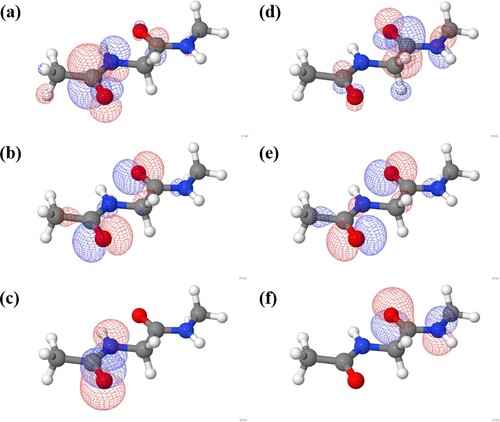 Figure 1. Molecular orbitals for diamide 2a [φ = 180°, ψ = 180°] with an isosurface cut-off of 0.05. Orbitals from a state-averaged CASSCF calculation as described in reference 32. (a) π* for amide 1, (b) n for amide 1, (c) πnb for amide 1, (d) π* for amide 2, (e) n for amide 2 and (f) πnb for amide 2.