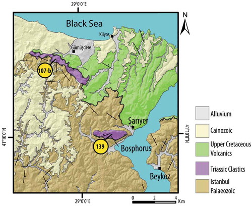 Figure 3. The geological map of the northwestern Bosphorus (Modified after Özgül, Citation2011).