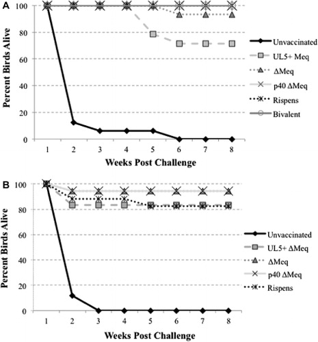 Figure 3. Survival of vaccinated birds following challenge with vv+ 648A MDV. Panels A and B show data from the Trials 1 and 2, respectively. Data for birds vaccinated with bivalent vaccines were unavailable for Trial 2 due to flood causing complete loss of the isolator housing that lot.