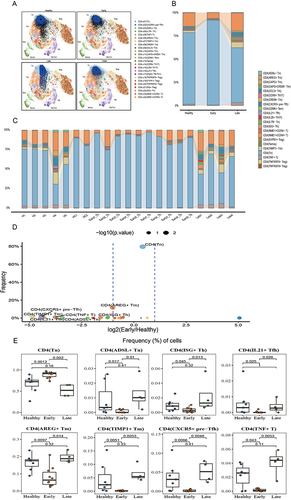 Figure 3 CD4 T cell subpopulation analysis. (A) Reference mapping of CD4 T cells. (B) Bar graph showing the proportion of CD4 cell subpopulations in each group. (C) Bar graph showing the proportion of CD4 T cell subpopulations in each patient. (D) Volcanic were used to compare the differences in CD4 T cell subsets between the early sepsis group and the healthy group with unilateral unpaired Wilcoxon test, and P-values were calculated. Points with p < 0.05 and FC value > 1 were marked on the atlas. (E) Proportions of CD4 cell subsets significantly differed between the Healthy and Early groups, and p-values were calculated using a one-sided unpaired Wilcoxon test. The center line indicates the median value, and the upper and lower hinge lines indicate the 75th and 25th percentiles, respectively.