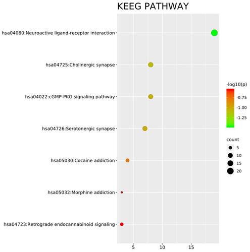 Figure 6 KEGG pathway enrichment analysis.
