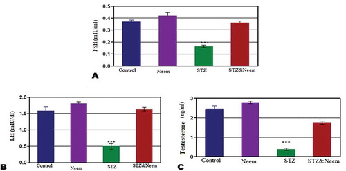 Figure 3. Represents the changes of serum levels of FSH (a), LH (b) and testosterone (c) among the different studied groups. Note: a highly significant decreased levels of FSH, LH and testosterone (P < 0.001) in STZ-induced diabetic rats compared with control