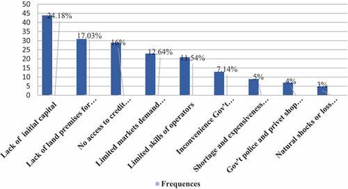 Figure 3. Challenges and constraints of informal sector operators.