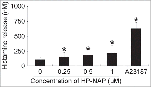 Figure 1. Induction of histamine release from HMC-1 cells by HP-NAP. HMC-1 cells were left unstimulated or stimulated with indicated concentrations of HP-NAP or 10 μM Ca2+ ionophore A23187 as a positive control at 37°C for 30 min. Histamine release from HMC-1 cells was determined by measuring the concentration of histamine in the cell-free supernatants as described in Materials and Methods. Data were represented as the mean ± SD of 4 independent experiments. *P < 0.05 as compared with unstimulated cells.