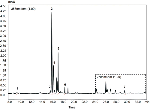 Figure 2.  HPLC chromatogram of Hypericum orientale methanolic flower extract. Peaks identified at UV wave length 353 nm: 1 – chlorogenic acid (Rt-9.636 min), 2 – rutin (Rt – 15.911 min), 3 – hyperoside (Rt – 16.180 min), 4 – isoquercetin (Rt – 16.516 min), 5 – quercitrin (Rt – 17.371 min), 6 – quercetin (Rt – 18.634 min); peak identified at UV wave length 270 nm: 7 – hyperforin (Rt – 29.990 min).