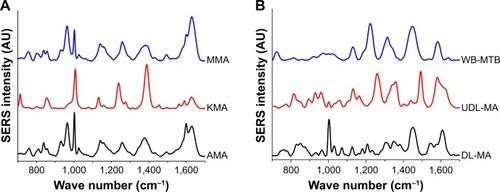 Figure 2 Average SERS spectra of (A) synthetic pure AMA, KMA, and MMA, and (B) delipidated MA from MTB bacterial extract, undelipidated MA, and γ-irradiated whole bacteria.Abbreviations: AMA, α-mycolic acid; ATP, aminothiophenol; DL, delipidated; KMA, keto-MA; MMA, methoxy-MA; MTB, Mycobacterium tuberculosis; SERS, surface-enhanced Raman scattering; UDL, undelipidated; WB, whole Bacteria.