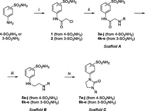Scheme 1. General synthetic approach to prepare compounds libraries endowed with scaffolds A, B, and C. For R substituents, please refer to Table 1. Reagents and conditions: (i) chloroacetyl chloride, dry acetone, N2, 0 °C, 0.5 h; (ii) for 3 and 4: appropriately substituted aniline, KI, sealed tube, dry THF, N2, 110 °C, 24 h; for 3i: 2-amino-6-methylpyridine, dry TEA, abs EtOH, N2, ref., 24 h; for 3j: benzylamine, dry TEA, dry ACN, N2, 24 h; for 3a, 3b, and 4k: n-butylamine or i-propylamine, KI, dry THF, N2, 24 h; (iii) for 5b,c,e,f,g,h and 6l: 1 M BH3·THF, dry THF, N2, r.t., 24 h; for 5a,d,i,j and 6k,m,n,o: LiAlH4, dry THF, N2, 0–70 °C, 24 h; iv. triphosgene, dry TEA, dry THF, N2, r.t., 2 h.