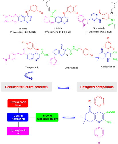 Figure 2. The rational design of new EGFR-TKIs integrating the structural features deduced from the chemical structures of approved EGFR-TKIs (erlotinib, afatinib, and osimertinib) and compounds (I–III) with reported antitumor activity.