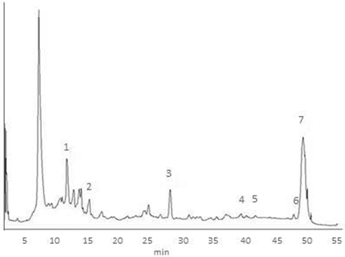 Figure 1. Chromatographic profile of polyphenols in Azara sp. honey I2. Peaks: (1) caffeic acid, (2) coumaric acid, (3) abscisic acid, (4) luteolin, (5) apigenin, (6) pinocembrin, and (7) chrysin.Figura 1. Perfil cromatográfico de polifenoles en muestra I2 de miel monofloral de Azara sp. Identificación: (1) ácido caféico, (2) ácido coumárico, (3) ácido abscisico, (4) luteolina, (5) apigenina, (6) pinocembrina, (7) crisina.