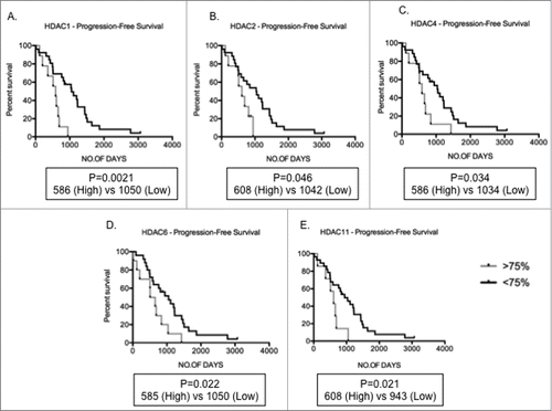 Figure 3. Increased HDAC levels correlate to poor prognosis Kaplan-Meir plots showing progression-free survival (PFS) in MM patients with high (>75th centile of MM patient cohort) compared to low (<75th centile) expression profiles. (A-E) Patients with high HDAC1, HDAC2, HDAC4, HDAC6, and HDAC11 expression depicted significantly shorter PFS days than patients with low levels of these genes. Significant differences and median survival days were calculated utilizing GraphPad Prism 5.0d. P-values are indicated.