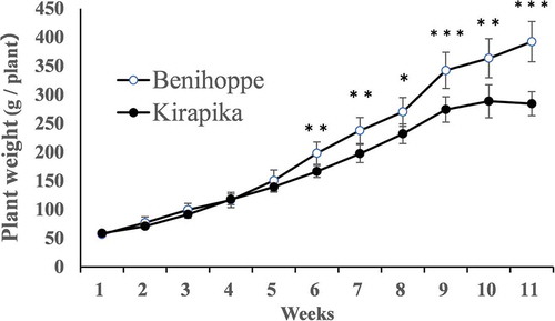 Figure 6. Plant weight during cultivation. Plant weight includes immature fruit weight. Data are expressed as mean ± S.D. (n = 6). *, **, *** indicate significant differences at the 5%, 1%, and 0.1% levels in unpaired t-tests.