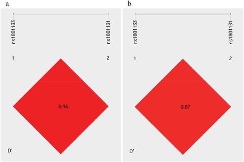 Figure 2. The linkage disequilibrium analysis of MTHFR C677T (rs1801133) (a) and MTHFR A1298C (rs1801131) (b) polymorphisms in the hypertension group and control group.