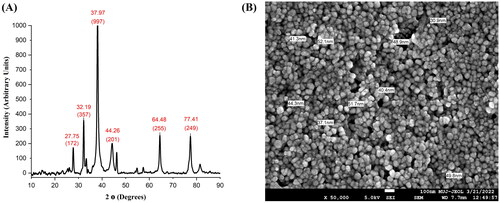 Figure 4. (A) Structural characterization of TBL-AgNPs using XRD and (B) Size measurement of the TBL-AgNPs (44.05 nm) using FESEM.