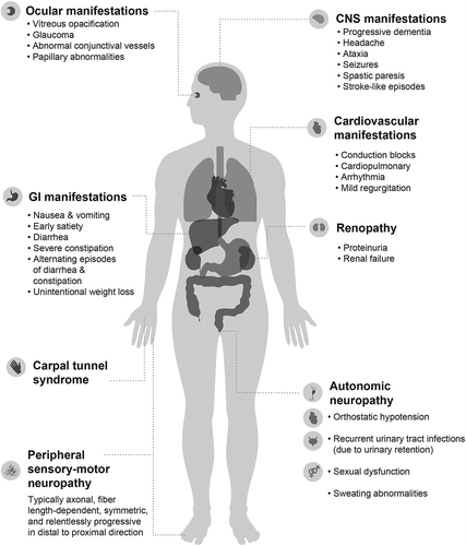 Figure 1. Clinical manifestations associated with hereditary transthyretin amyloidosis (ATTRv) [Citation2,Citation5–Citation7]. ATTRv is a progressive, multisystemic disease characterized by the deposition of amyloid fibrils in various organs and tissues throughout the body, including the nerves, heart, gastrointestinal tract, liver, and kidney. CNS, central nervous system.Adapted with permission from Conceição I, González-Duarte A, Obici L, et al. ‘Red-flag’ symptom clusters in transthyretin familial amyloid polyneuropathy. J Peripher Nerv Syst. 2016;21(1):5–9.