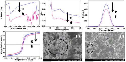 Figure 1 FTIR spectrum of a Fe3O4 and b Fe3O4–AR nanohybrid, UV–visible spectrum of c AR dye and d Fe3O4–AR nanohybrid, Fluorescence emission spectrum of e AR dye and f Fe3O4–AR nanohybrid, VSM of g Fe3O4 and h Fe3O4–AR nanohybrid, FESEM image of i Fe3O4 and j Fe3O4–AR nanohybrid system