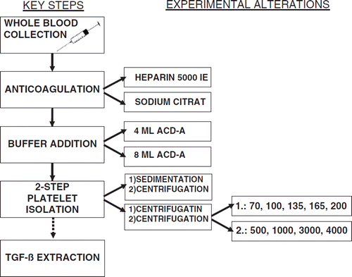 Figure 1. Flowchart describing the experimental pathway for the process of TGF-ß extraction.
