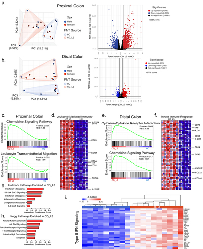 Figure 4. Inflammatory signature of the colonic transcriptome profiling of xGF mice humanized with HC and CD_L3 fecal microbiota.