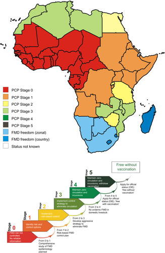 Figure 4 Map indicating the different PCP stages of countries in southern and eastern Africa.