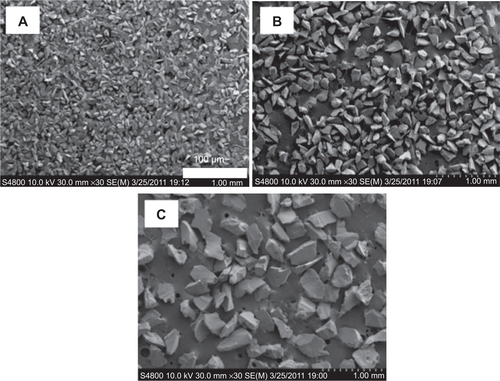 Figure S1 SEM images of different Al2O3 grains used for sandblasting treatment.Notes: (A) Al2O3 particles with a grain size of 60–80 μm; (B) Al2O3 particles with a grain size of 110–150 μm; (C) Al2O3 particles with a grain size of 180–250 μm.Abbreviation: SEM, scanning electron microscope.