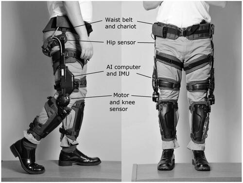 Figure 1. Keeogo™ Dermoskeleton by B-Temia Inc., Quebec, Canada. The device is worn over regular clothing. Motors are located at the knees. The device is secured to the limbs with shank and thigh cuffs, and also suspended from the waist belt and chariot system that allows the hip to rotate freely. The thigh segment contains the artificial intelligence (AI) computer and inertial measurement unit (IMU). Sensors at the knee, hip and thigh allows the AI to know what both limbs are doing at all times [Citation29].