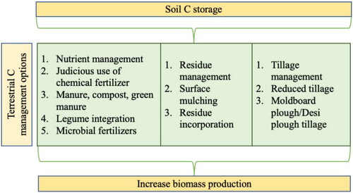 Figure 2. Management practices of C sequestration. Reconstructed from [Citation4]