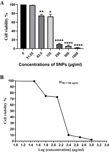 Figure 9 Dose-dependent growth inhibition of Caco-2 cells by SNPs.Notes: (A) Antiproliferative effect of SNPs synthesized by Nostoc sp. against Caco-2 cell line expressed as percentage cell viability. (B) Caco-2 cell viability percentage and the log concentration at which cell viability is reduced to 50%. Data from at least three independent experiments performed in at least triplicate are presented as mean ± SD; P value was calculated versus control cells: *P < 0.05; **P < 0.01 and ****P < 0.001.Abbreviations: SNPs, silver nanoparticles; SD, standard deviation.