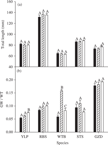 Figure 2. ANOVA results for differences among tissues (whole fish [WF] – dark bars, gut removed whole fish [GR] – hashed bars, and dorsal muscle tissue [DM] – open bars) in (A) total length and (B) the ratio of gut weight to total weight (GW/TW). Those tissues with different letters are significantly different (p < 0.01). Species include gizzard shad (GZD), rainbow smelt (RBS), spottail shiner (STS), white bass (WTB), and yellow perch (YLP) collected from Lake Oahe, South Dakota. Error bars represent one unit of standard error.