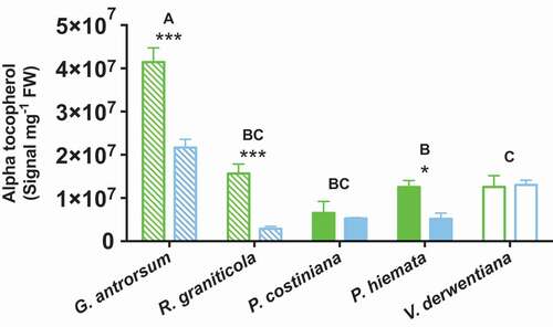 Figure 6. Concentrations of alpha-tocopherol in foliage of G. antrorsum, R. graniticola, P. costiniana, P. hiemata, and V. derwentiana. Green = SP (low P) site; blue = DHP (high P) site. Dashed bars are herbaceous species, filled bars are grass species, empty bars are sub-shrub species. Values are means ±SE (n = 3). Asterisks indicate significantly different means between sites within each species (*P < 0.05, **P < 0.01, ***P < 0.001); uppercase letters denote significantly different means among species identified by Fisher’s LSD test (P < 0.05)